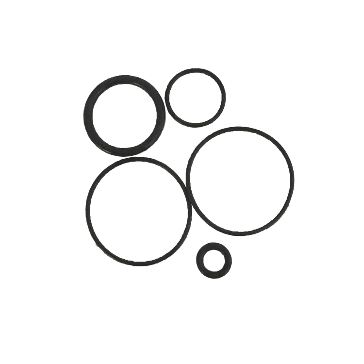 ESG-R - O-ring set